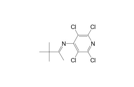 4-Pyridinamine, 2,3,5,6-tetrachloro-N-(1,2,2-trimethylpropylidene)-