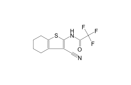 N-(3-cyano-4,5,6,7-tetrahydro-1-benzothien-2-yl)-2,2,2-trifluoroacetamide