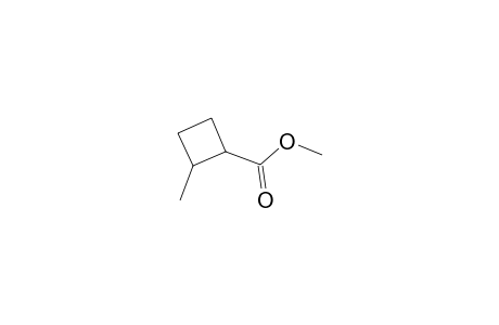 Cyclobutanecarboxylic acid, 2-methyl-, methyl ester
