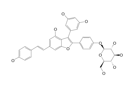 ANIGOPREISSIN-A-4A-O-BETA-D-GLUCOPYRANOSIDE
