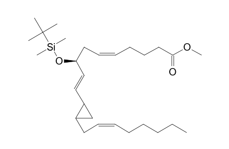 Methyl-8(S*)-tert-butyldimethylsiloxy-11,12-cyclopropyl-5(Z),9(E),14(Z)-eicosatrienoate