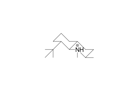1,2b-Dimethyl-8a-tert-butyl-trans-decahydro-quinolinium cation