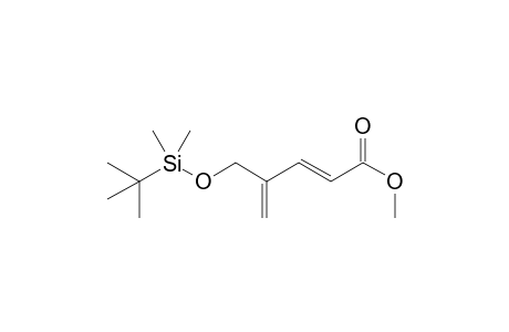 (2E)-4-[[tert-butyl(dimethyl)silyl]oxymethyl]penta-2,4-dienoic acid methyl ester