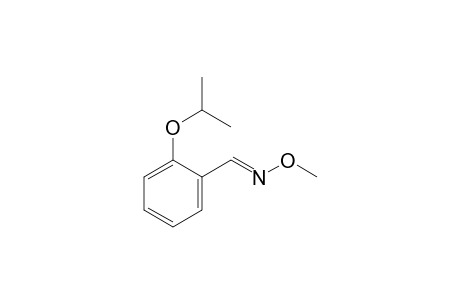 2-Isopropoxybenzaldehyde O-methyloxime