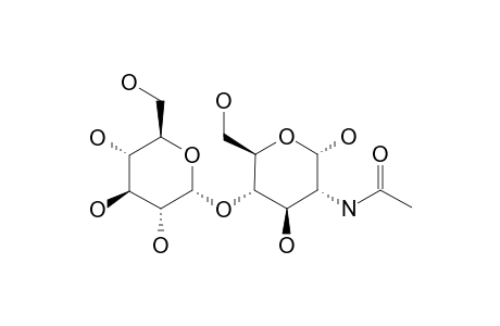 GGNAC;ALPHA-D-GLUCOPYRANOSYL-(1->4)-N-ACETYL-ALPHA-D-GLUCOSAMINE