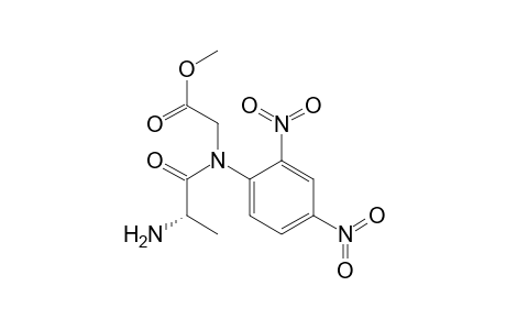 DNP-alanyl-glycine methyl ester