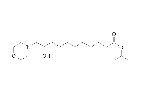 Undecanoic acid isopropyl ester, 10-hydroxy-11-morpholin-4-yl-