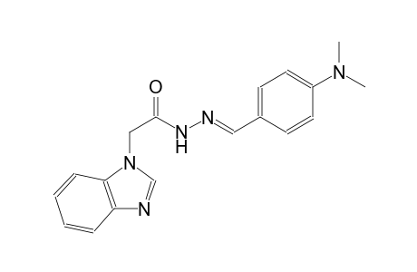 1H-benzimidazole-1-acetic acid, 2-[(E)-[4-(dimethylamino)phenyl]methylidene]hydrazide