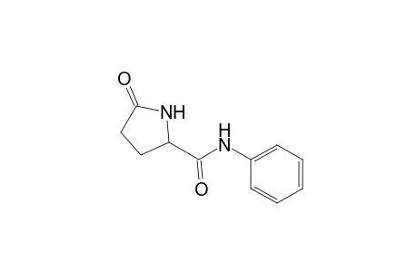 2-Pyrrolidinecarboxamide, 5-oxo-N-phenyl-