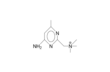2-Trimethylammoniomethyl-4-amino-6-methyl-pyrimidine cation
