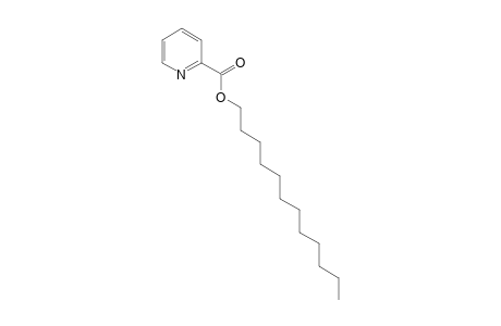 2-Pyridinecarboxylic acid, dodecyl ester