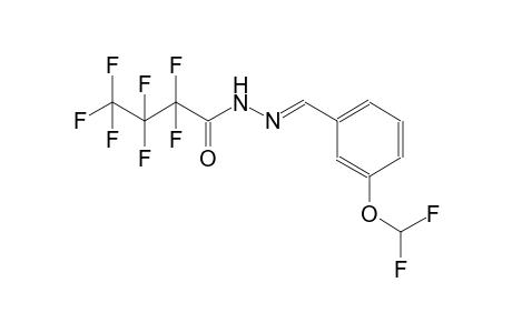 N'-{(E)-[3-(difluoromethoxy)phenyl]methylidene}-2,2,3,3,4,4,4-heptafluorobutanohydrazide