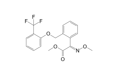 (2E)-2-methoxyimino-2-[2-[[2-(trifluoromethyl)phenoxy]methyl]phenyl]acetic acid methyl ester