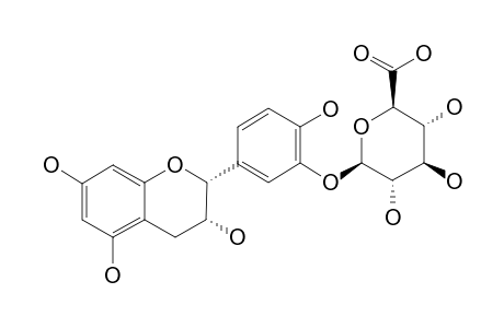 EPICATECHIN-3'-O-BETA-D-GLUCURONIDE