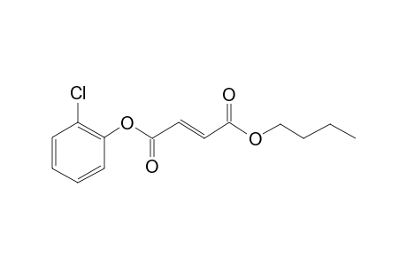 Fumaric acid, butyl 2-chlorophenyl ester