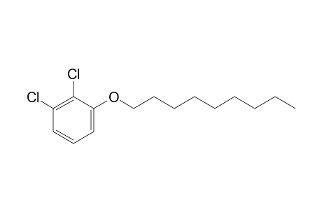 2,3-Dichlorophenyl nonyl ether
