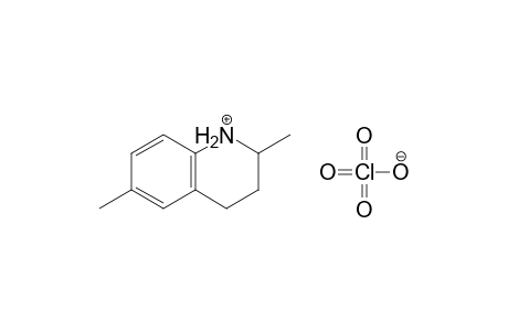 1,2,3,4-Tetrahydro-2,6-dimethylquinolinium - perchlorate