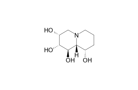 (1R,2R,3R,9S,9aR)-2,3,4,6,7,8,9,9a-octahydro-1H-quinolizine-1,2,3,9-tetrol