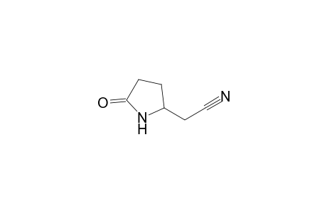 2-(5-ketopyrrolidin-2-yl)acetonitrile