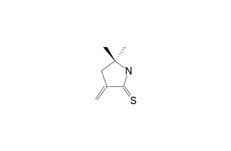 5,5-DIMETHYL-3-METHYLENEPYRROLIDINE-2-THIONE