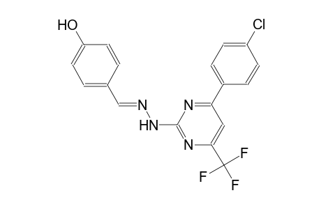 4-hydroxybenzaldehyde [4-(4-chlorophenyl)-6-(trifluoromethyl)-2-pyrimidinyl]hydrazone