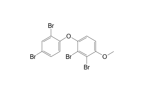 1-[2,4-bis(bromanyl)phenoxy]-2,3-bis(bromanyl)-4-methoxy-benzene