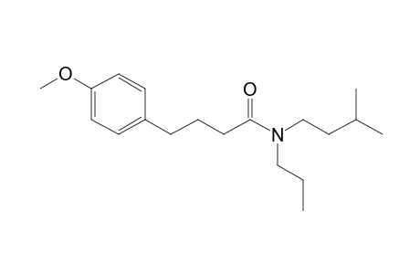 Butyrylamide, 4-(4-methoxyphenyl)-N-propyl-N-(3-methylbutyl)-