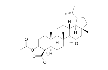 3-ALPHA-ACETOXY-27-HYDROXYLUP-20-(29)-EN-24-OIC_ACID