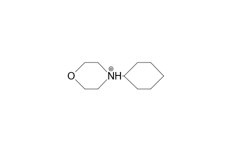 4-Cyclohexyl-morpholinium cation