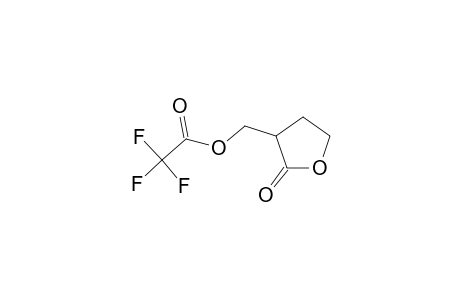 Acetic acid, 2,2,2-trifluoro-, (tetrahydro-2-oxo-3-furanyl)methyl ester