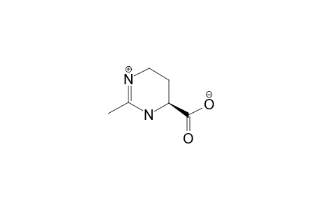 ECTOINE