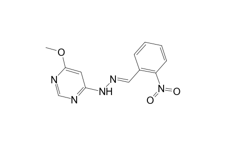 (6-methoxypyrimidin-4-yl)-[(E)-(2-nitrobenzylidene)amino]amine