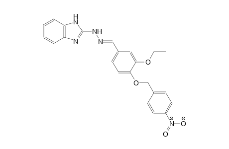 3-ethoxy-4-[(4-nitrobenzyl)oxy]benzaldehyde 1H-benzimidazol-2-ylhydrazone
