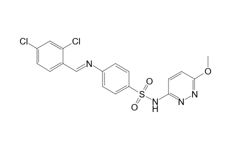 4-[(2,4-dichloro-benzylidene)-amino]-N-(6-methoxy-pyridazin-3-yl)-benzenesulfonamide
