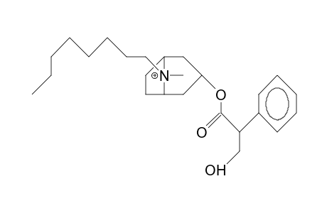 N-Octyl-atropinium cation (anti-octyl)
