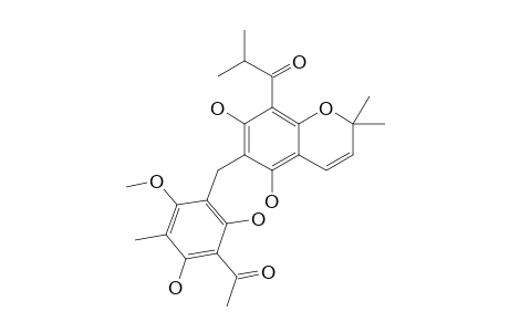 ISOBUTYRYL-MALLOTOCHROMENE;5,7-DIHYDROXY-6-(2',4'-DIHYDROXY-3'-ACETYL-5'-METHYL-6'-METHOXY-BENZYL)-8-ISOBUTYRYL-2,2-DIMETHYL-CHROMENE