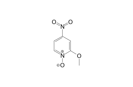 2-Methoxy-4-nitropyridine 1-oxide