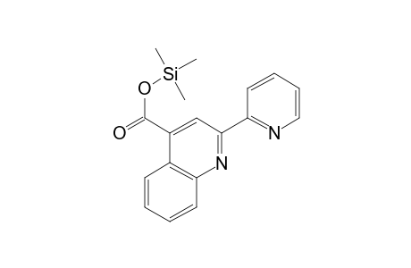 2-Pyridin-2-yl-quinoline-4-carboxylic acid, trimethylsilyl ester