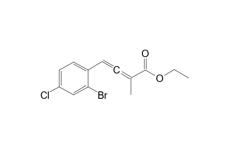 4-(2-Bromo-4-chloro-phenyl)-2-methyl-buta-2,3-dienoic acid ethyl ester