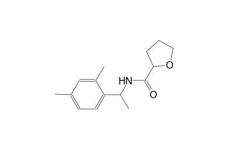 N-[1-(2,4-dimethylphenyl)ethyl]tetrahydro-2-furancarboxamide