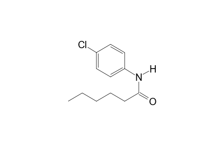 N-(4-Chlorophenyl)hexanamide