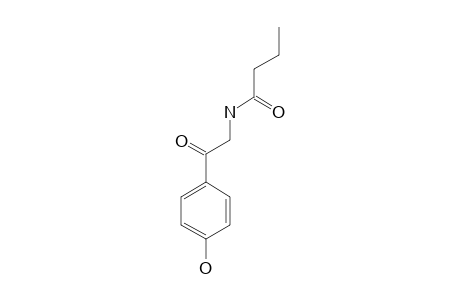 N-[2-(4-HYDROXYPHENYL)-2-OXOETHYL]-BUTANAMIDE