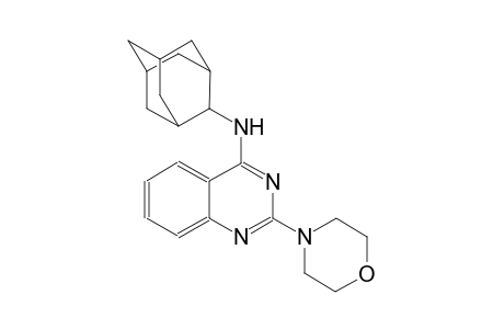 N-(2-adamantyl)-2-(4-morpholinyl)-4-quinazolinamine