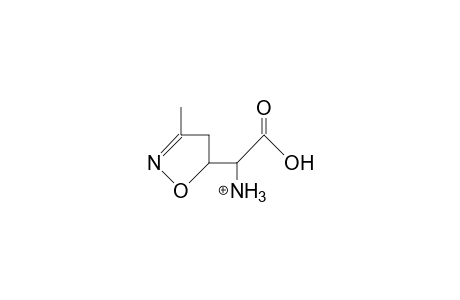 erythro-Ammonium-(3-methyl-4,5-dihydro-isoxazol-5- yl)-acetic acid, cation