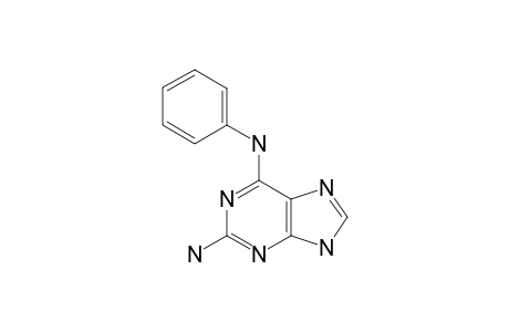 2-AMINO-6-PHENYLAMINO-PURINE
