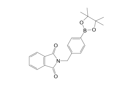 4-(N-Phthalimidomethyl)benzeneboronic acid pinacol ester