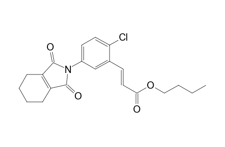 2-Propenoic acid, 3-[2-chloro-5-(1,3,4,5,6,7-hexahydro-1,3-dioxo-2H-isoindol-2-yl)phenyl]-, butyl ester