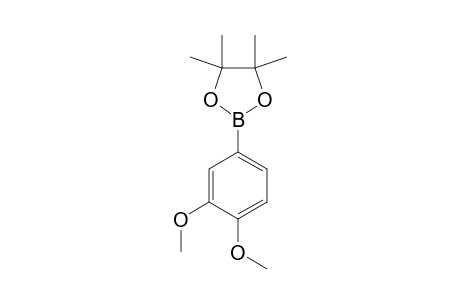 4-(4,4,5,5-TETRAMETHYL-1,3,2-DIOXABOROLAN-2-YL)-VERATROLE