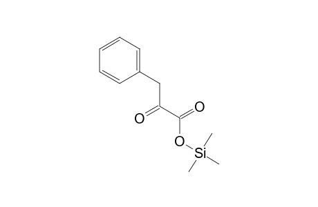 Phenylpyruvic acid, mono-TMS