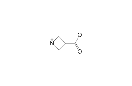 azetidin-1-ium-3-carboxylic acid